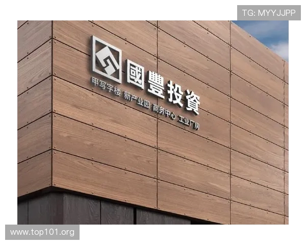 鼎盛国际投资有限公司：全球多元化投资与发展战略分析